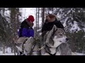 husky valjakkoajelua riisitunturin kansallispuisto