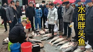 东北县城端午节早市太热闹，水库大鱼10元一斤，半小时抢光一车鱼【东北林区艾三】