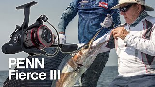 Penn Fierce 3 Tested on Rompin Sailfish