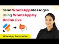 How to Send WhatsApp Messages Using WhatsApp by Online Live Support