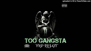 YNP Lijayy - Too Gangsta