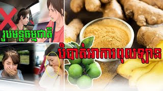 រូបមន្តធម្មជាតិបំបាត់អាការពុលឡាន ទូក ពុលយន្តហោះ/How to stop get car sick