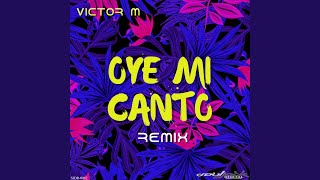 Oye Mi Canto (Remix)