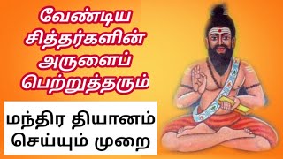 சித்தர்களின் அருளைப் பெற்றுத் தரும் மந்திர தியான முறை