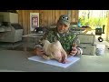 how to pluck a wild turkey