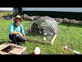 CHICKEN COOP FOR $50 AND 1 HOUR TO BUILD CHICKEN COOP FOR $50 AND 1 HOUR TO BUILD