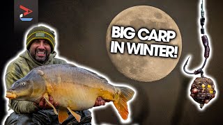 Ali Hamidi's Winter Carp Fishing Tips! | Carp Fishing | One More Cast