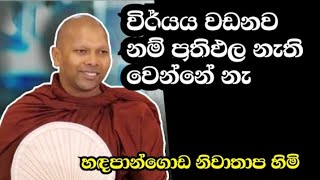 මෙතන ඔබට මහ රැකවරණයක් තියෙනවා | hadapangoda niwathap himi