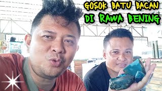 GOSOK BATU BACAN DI RAWA BENING PART 1