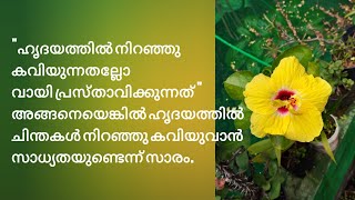 💎 നല്ലതു പറയാം ...ചിന്തിക്കാം..    #വിശ്വാസജീവിതയാത്ര