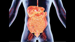 Gastrointestinal (GI) issues and considerations for those with SCI - September 28, 2021