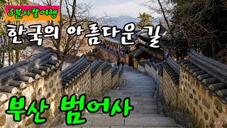 부산 범어사 / 한국의 아름다운 길 100선 / 금빛 물고기가 부처님의 법을 전하다 / 산꼭대기의 우물이 금빛으로 변하는 금정산 / 3분사찰여행