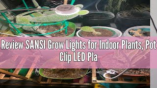 Review SANSI Grow Lights for Indoor Plants, Pot Clip LED Plant Light for Growing Full Spectrum, Plan