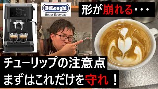 【スティローザ】チューリップの形が崩れる原因。まずはこの１点を守れば整うはず！