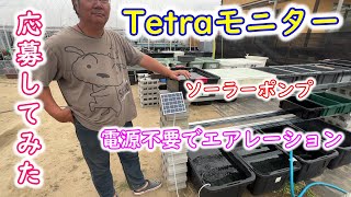 【めだか】テトラさんのモニターに応募しました。「メダカのソーラーブリードポンプ」レビュー動画