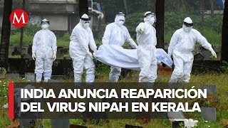 Virus Nipah reaparece en la India, ¿Qué es y cómo se transmite?