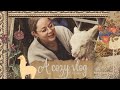 Autumnal Break & Cuddling Alpaca's🦙| A Cozy Vlog