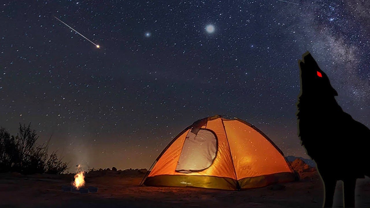 Cozy Night Camp Ambience For Sleeping | Watch Shooting Stars - YouTube