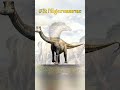 top 3 rare u0026 weird dinosaurs you’ve never heard of