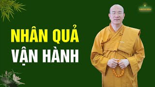 Sự Vận Hành Của Luật Nhân Quả | Vấn Đáp Phật Pháp | Chùa Ba Vàng