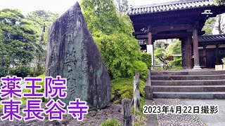 【4K】新宿区下落合・東長谷寺・薬王院（2023年4月22日）