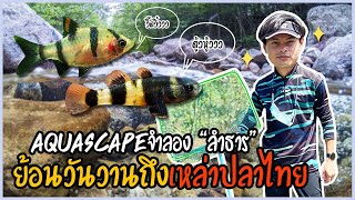 ตั้งตู้aquascape concept “Forest stream” |จำลองลำธาร ส่องความงามของปลาไทย