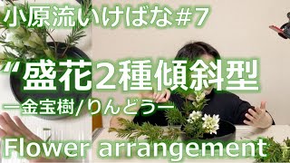 【いけばな#7】小原流いけばな「盛花傾斜型2種」金宝樹/りんどう 【flower arrangement】