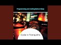 Code in Tranquility