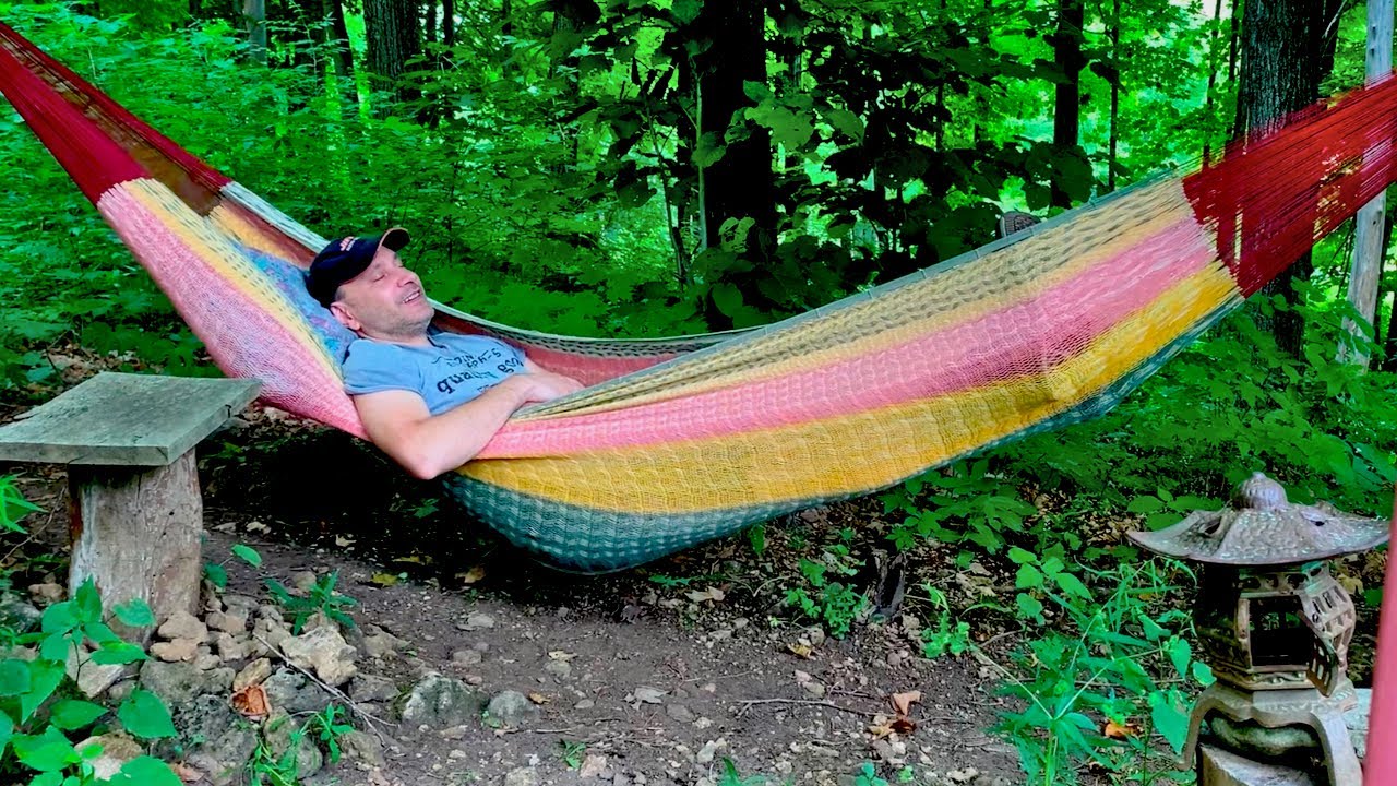 Cabin Chronicles Leaving It All Behind For A Month In The Woods Youtube