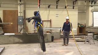 Fall Protection Safety Demo