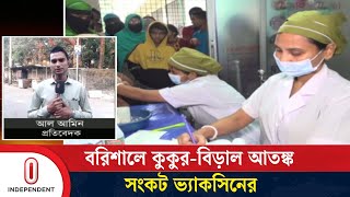 কুকুর-বিড়ালের কা ম ড়ে হাসপাতালে রোগীদের ভিড় | Barishal | Independent TV