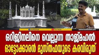 ഒറിജിനലിനെ വെല്ലുന്ന താജ്‌മഹൽ, കാണാം ഓട്ടോക്കാരന്‍ മുസ്തഫയുടെ കരവിരുത് | Malayalam News | Taj Mahal