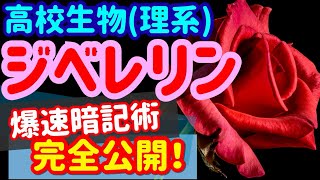 【高校生物 64】植物ホルモン【ジベレリン】を宇宙一わかりやすく