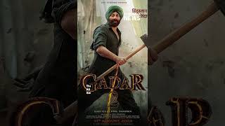 Gadar 2 Box Office Collection | Sunny Deol | Amisha Patel | Bollywood News #shorts #Gadar2 #news