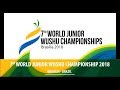 7th World Junior Wushu Championships - Day  1 - Sanda - Arena 3 - Session 2