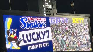 【☂️】 #東京ヤクルトスワローズ ✨#ラッキーセブン 『#東京音頭 』ビジター  🏟阪神甲子園球場 24.9.1