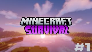 Nova Saga do canal! - MINECRAFT SURVIVALl - EP 1