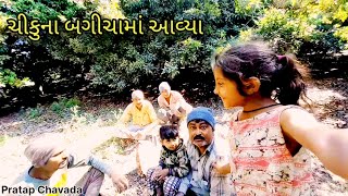 ચીકુ નો બગીચો||vlog gujarati vlogger gujarati vlogs