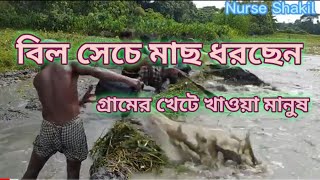 বিল সেচে মাছ ধরার ভিডিও