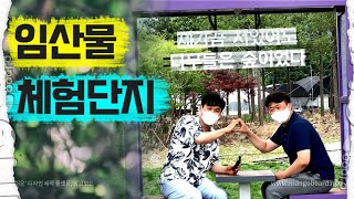 정읍시 임산물 체험단지를 찾아가 보았습니다