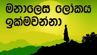 මනාලෙස ලෝකය ඉක්මවන්නා | Sammaparibbajaniya Suthraya  #shortvideo