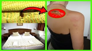Top 10 Secrets Hotel Maids Never Tell Their Guests