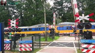 Spoorwegovergang Ermelo 😍4K😍 // Dutch railroad crossing