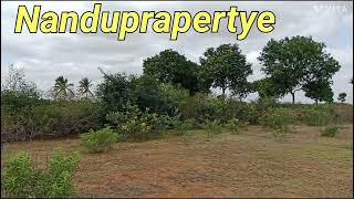 4ak agricultural land gauribidanur near general property sailing8310034077#Karnataka#a agriculture