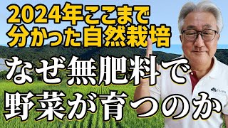 なぜ無肥料で野菜が育つのか！2024年、ここまで分かった自然栽培【自然栽培】【無農薬】【無肥料】【自然農法】【自然農】【食の安全】【オーガニック】【有機JAS】【自然食品】【化学物質過敏症】【農業】