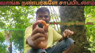 😋🍓Remnant fruit Hunting||ஈச்சம் பழம் வேட்டை||village fruit||VR view's