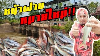 ตกปลากดหน้าฝายหาหมายใหม่รอเจ้าของสูตรเหยื่อ[รอกลั่น คันโก่ง]