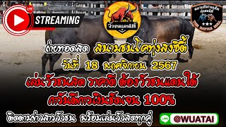 🔴 #วัวชนแดนใต้ #ดูวัวชน สนามชนโคทุ่งสงซิตี้ 18-11-67 #ถ่ายทอดสดวัวชนวันนี้