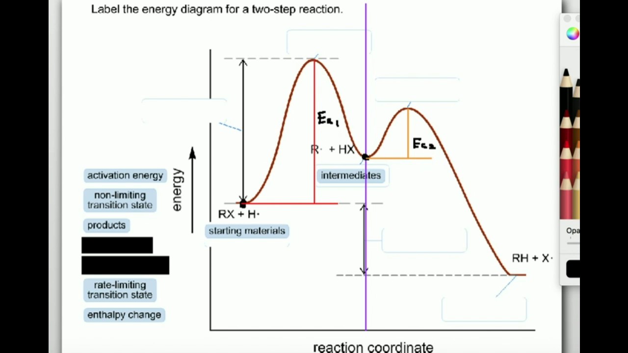 Labeling Parts Of A Reaction Coordinate Diagram - YouTube