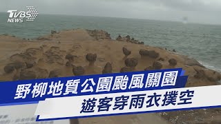 野柳地質公園颱風關園 遊客穿雨衣撲空｜TVBS新聞@TVBSNEWS01